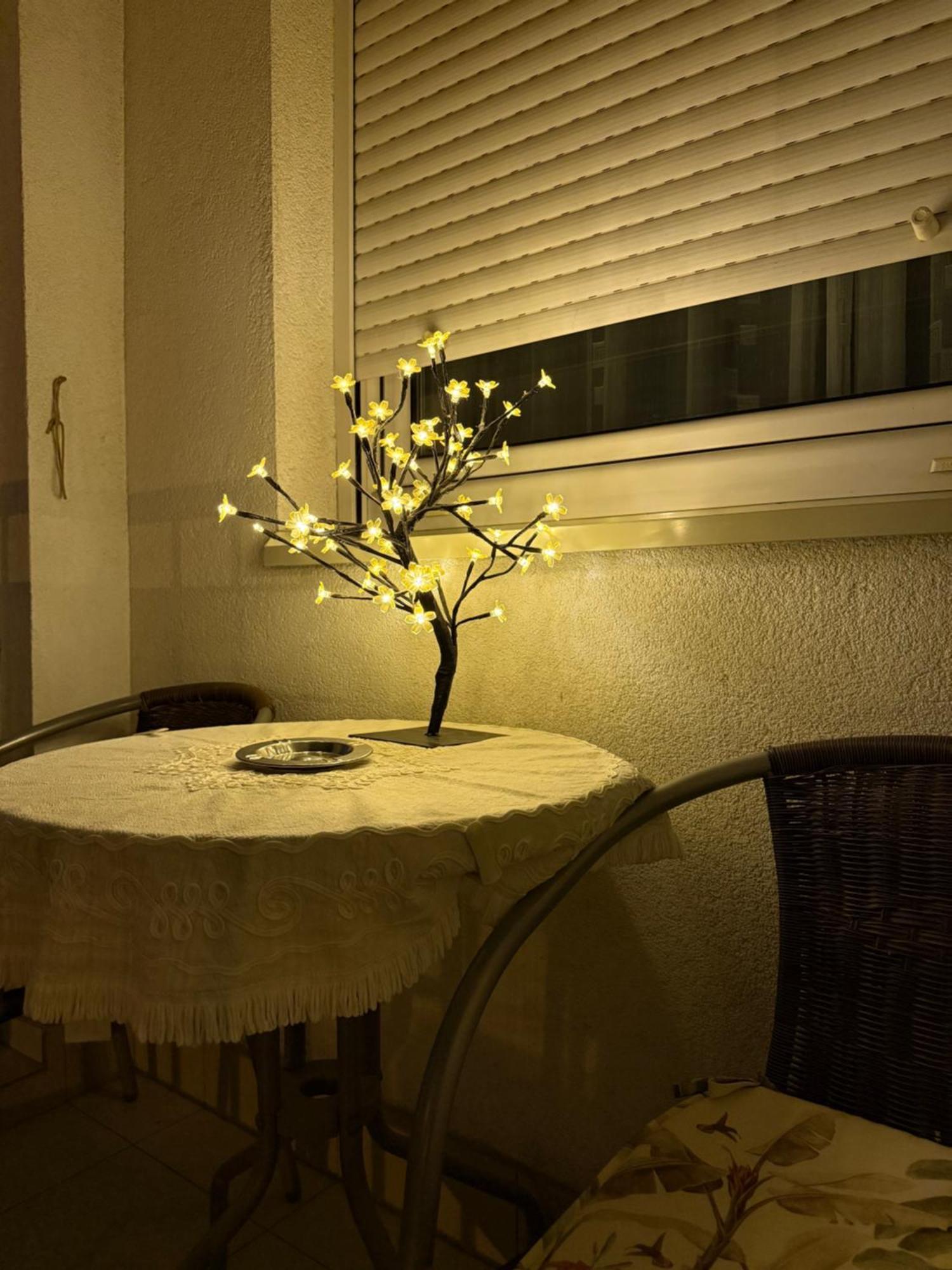 Apartament Barbara Belgrad